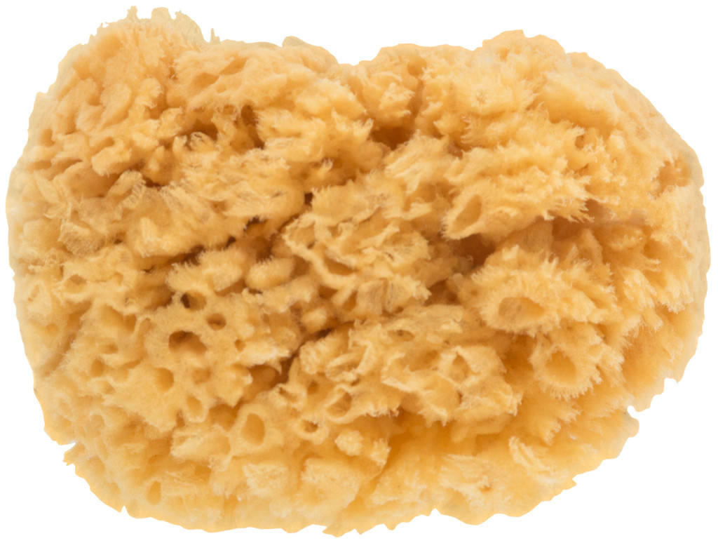 Губка для декорирования, МастерКолор