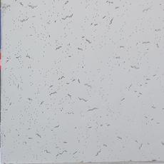 Плита 595х595 10 мм  1/14