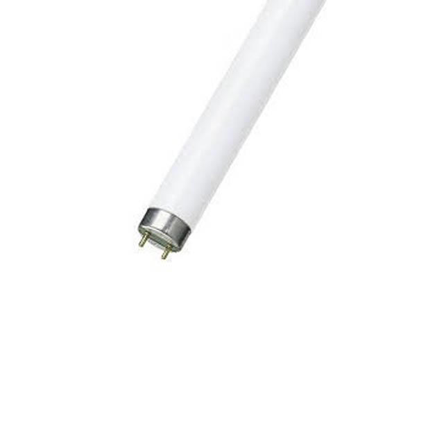 Люминесцентная лампа philips 18ц. Светодиодная лампа эра led т8-20w-865-g13-1200mm. Цоколь g13 светодиодная. Светильник т5 мх298а-y28. Лампа светодиодная с цоколем g13.