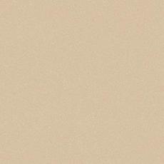 Линолеум Акцент ПРО АСПЕКТ 5 коммер., 4м/2мм, Tarkett