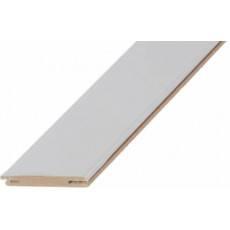 Добор телескоп 10*150*2050 ясень пепельный