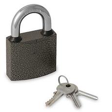 Замок навесной 303F-25 Блистер Palladium  2,5*4 см