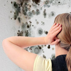 Средство против плесени